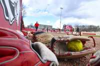 Arkansas softball downs Tulsa in fall exhibition, DJ Gasso's return to Bogle Park