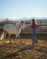 Nonprofit Spotlight: Colorado Horse Rescue