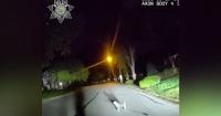 GOOD BOY! Kansas Dog Flags Down Leawood Cop in the Street and Leads Him Straight to Owner Lying on the Garage Floor for More Than THREE HOURS