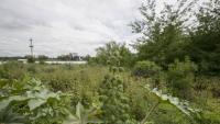 The illegal dump in Buenos Aires that became a nature reserve: 30 hectares and 1,000 meters of trails