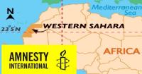 Amnesty International: Moroccan surveillance system extends from spying to smear campaigns and judicial harassment