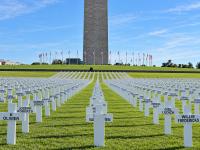 3,000 White Crosses on National Mall Memorialize Victims of South African Farm Attacks