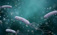 H.pylori: The group one carcinogen lurking in Kiwi tummies and why NZ doesn’t screen for it