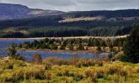 Wanted: £60k a year PR guru to run SNP's forests quango... that faces axe to save cash