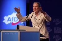 Popularity of "Alternative for Germany" Reached 30% for the First Time