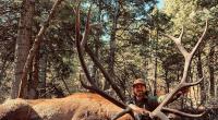 “Freezer Is Full” – Riley Green Brings Down Enormous Bull Elk On Utah Bowhunting Trip