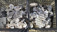Deale Library Becomes First in Maryland to Host Oyster Shell Recycling Bin