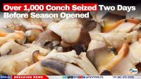 60+ Coconut Farmers Trained to Spot and Stop Crop Threats. Your District Is Next? 