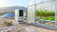 Harvesting water from air for sustainable agriculture in Oman
