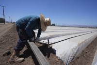 Opinion: Local farmers found a groundwater solution that works. Investments should build on it