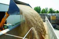 World food prices near 4-year high in September: UN