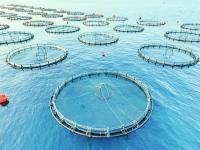 Oman secures RO 97.4m in food investments