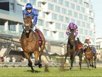 Arabian Crown wins $750,000 Canadian International at Woodbine Racetrack