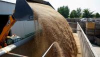 Global food price index climbs to near four-year high in September, FAO says