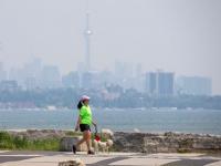 Toronto ranks among top Canadian cities to walk your dog