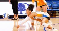 UT Arlington volleyball loses 3-0 Thursday against University of Arkansas at Little Rock