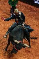 Sports Rush: Bucking Convention