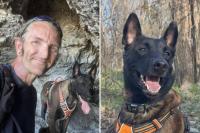 Major the Belgian Malinois faces death as owner has only days to convince judge to spare service dog from euthanasia