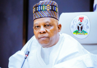 Nigeria owes women economy worthy of their labour – Shettima