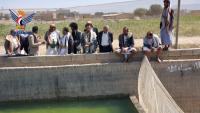 Tilapia Farming Project Launched in Amran
