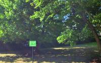 WVNA talks zoning, Poplar Food Forest