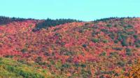 Leaf peepers travel to northern New Hampshire to see fall foliage