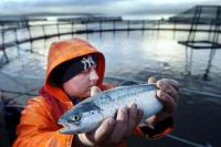 Claims 'dark money' from overseas being used to lobby against Scottish salmon farming