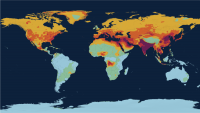 The migration routes of pollution: How ozone, Saharan dust and wildfire smoke cross borders