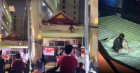 Woman Survives Eighth-Floor Fall in Cambodia, Regains Consciousness, Uses Her Phone for 20 Minutes and Walks Away