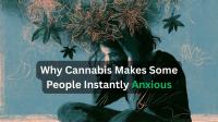 Why Cannabis Can Suddenly Trigger Panic
