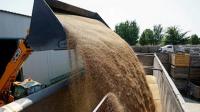 Global food price index climbs to near 4-year high in Sept, FAO says