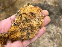 LS Rare-Earth Alliance Extends to Brazilian Mine as Supply Chain Widens