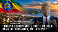 Ethiopia Exercising Rights to Build Dams for Irrigation and Water Supply Purposes, Says Water Minister