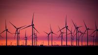 How many birds are killed by offshore wind turbines? Scientists use thermal cameras to find out