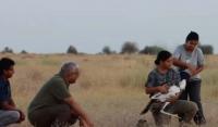 No words of praise enough for them: Environment Minister extols scientists after Great Indian Bustards release