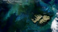 UK authorization will be required for hydrocarbon licenses in the Falklands