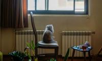 New electricity rule affects Croatian households this winter