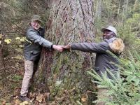 Tanzanian specialists complete training in Russia on use of forest resources