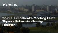 Trump-Lukashenko Meeting Must 'Ripen' - Belarusian Foreign Minister