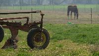 Farmland preservation grants awarded in western North Carolina Several counties in western North Carolina will receive farmland preservation grants through a $51.2 million statewide investment, state officials announced.