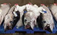 Letter: Get facts straight on Hawaii’s longline fishery
