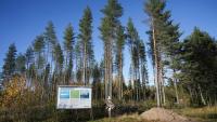 Finnish town braces for change as Google pours billions into data centers