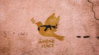 'Finding Peace in the Promised Land': From the Israel Trail to a new path for peace - review