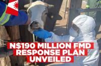 Namibia needs N$190 million to contain FMD outbreak in //Kharas