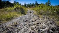 10 hiking trails near Baltimore to help nourish your soul and stretch your legs