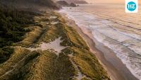 In 1910, Oregon planted a grass to hold back sand. It set off a century of change on the coast