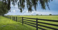 Unleashed by Florida lawmakers, landowners move to convert farms into subdivisions