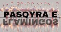 Albania transparency site reports cyberattacks
