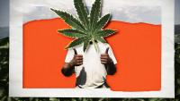 Police Allegedly Destroyed $37,000 of Legal Hemp. Georgia's Supreme Court Just Upended 60 Years of Precedent.