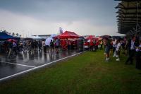 FIA release statement after F1 cars’ ‘software error' sparks Bahrain Grand Prix chaos